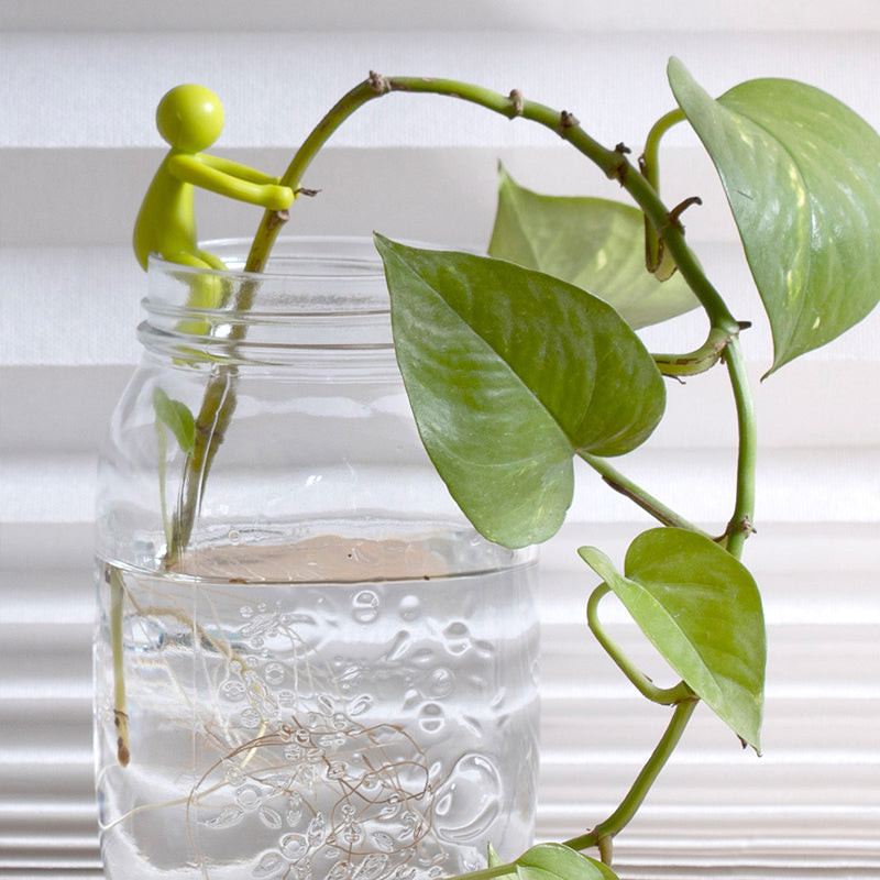 Støtte til dekorative og fleksible stiklinger til planter (x3) 