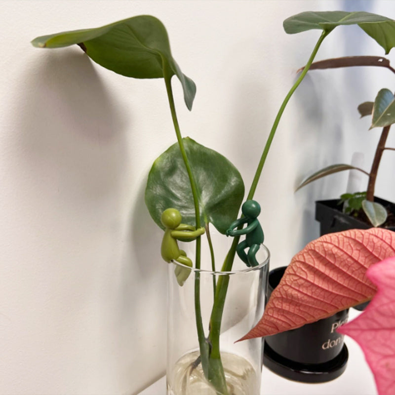 Støtte til dekorative og fleksible stiklinger til planter (x3) 