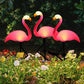 Flamingo Roz solar luminos – Grădină magică noaptea 